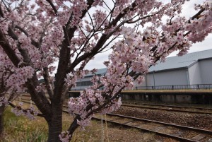 2025.03.18遠州森駅5