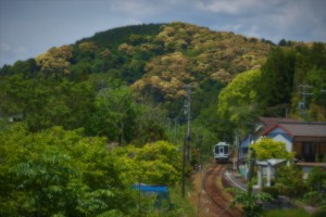 上野部駅の日常