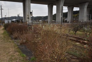 2026.02.24敷地駅3