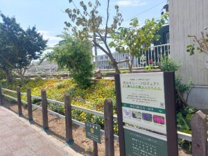 2026.07.30新所原駅6