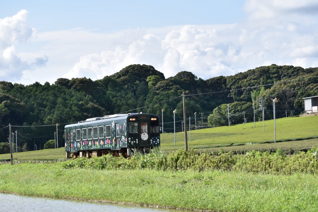 2021.07.15山田地区5 (1)