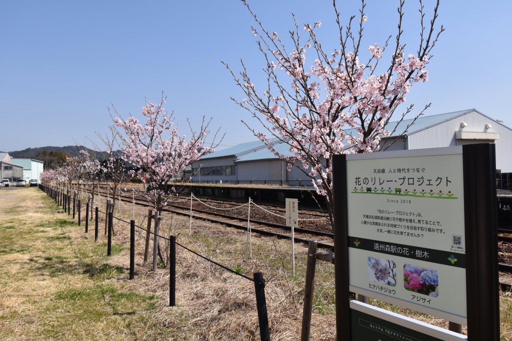 2022.03.16遠州森駅2