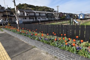 2022.03.28ホーム通路花壇1