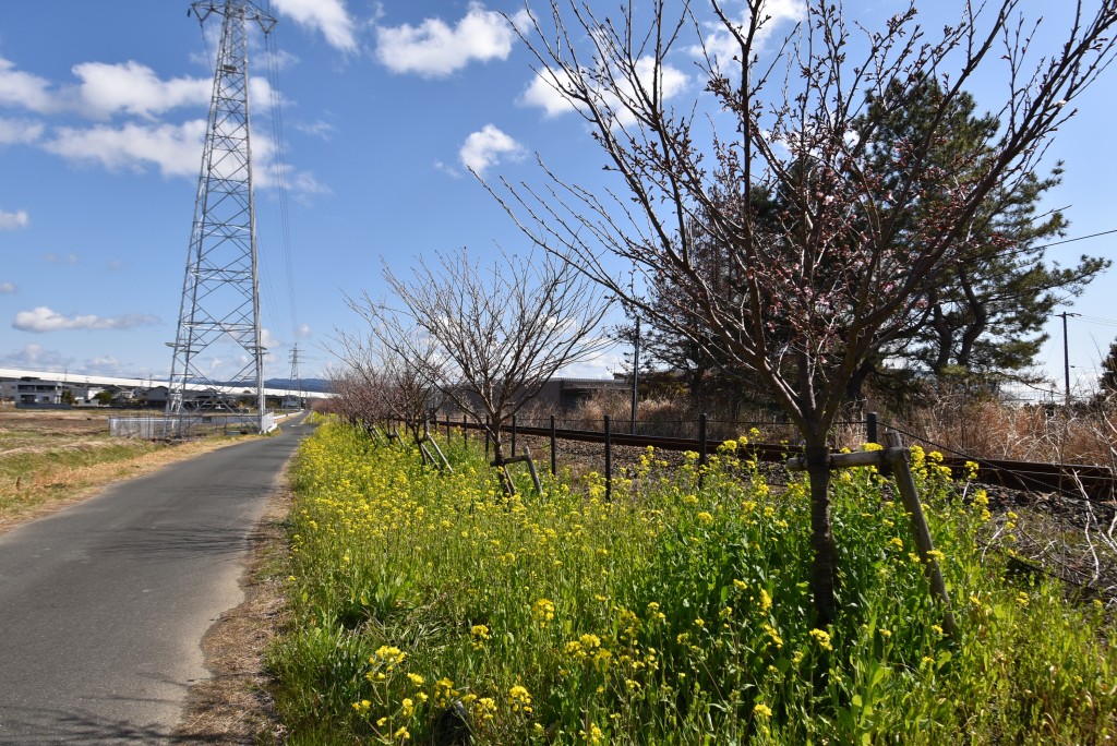 2023.03.06岩水寺駅～宮口駅間1