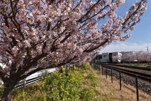 2025.03.18豊岡駅4