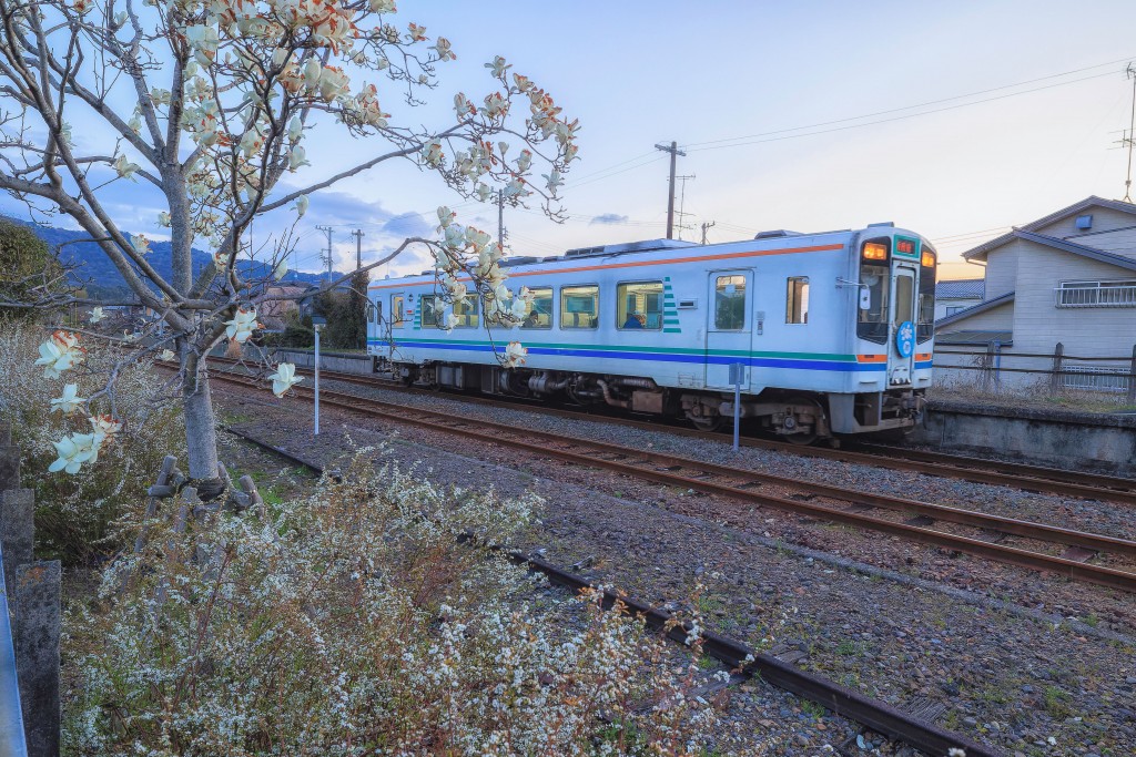 2024.03.14知波田駅 彦坂1