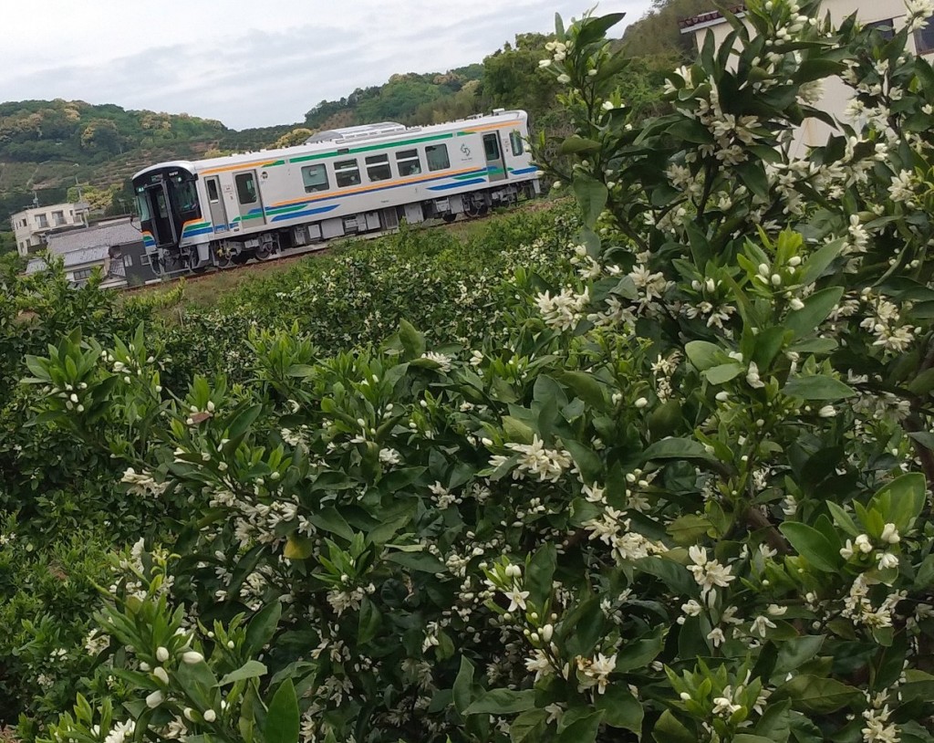 20260425003231_p_001