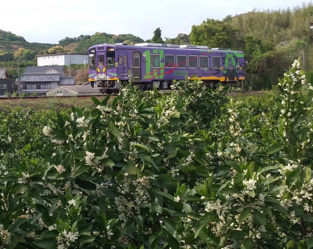 20260425062022_p_001