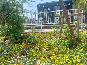 2026.07.30新所原駅5