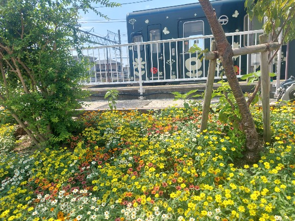 2026.07.30新所原駅5