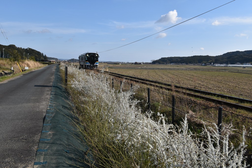 2026.03.17山田地区5
