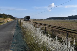 2026.03.17山田地区5