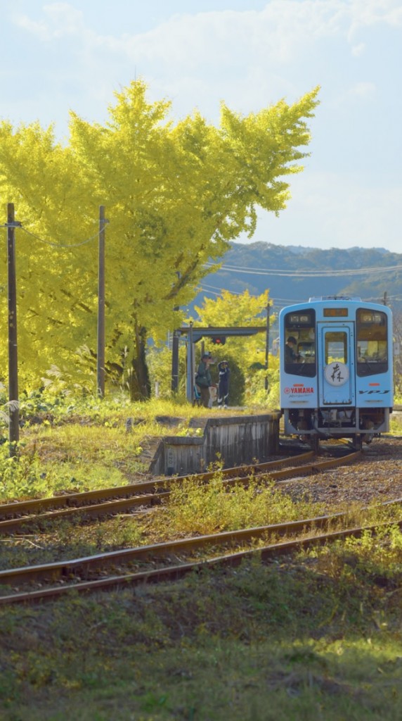 遠江一宮駅銀杏2025写真