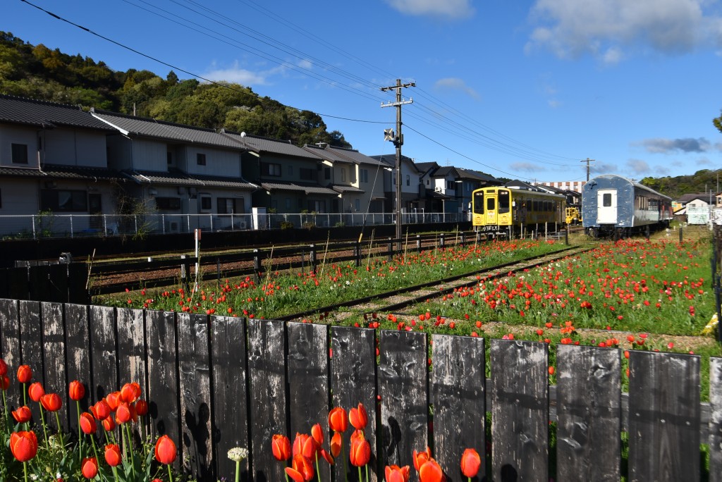 2026.04.02通路花壇2