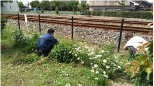 2021.05.15豊岡駅セイトウ②