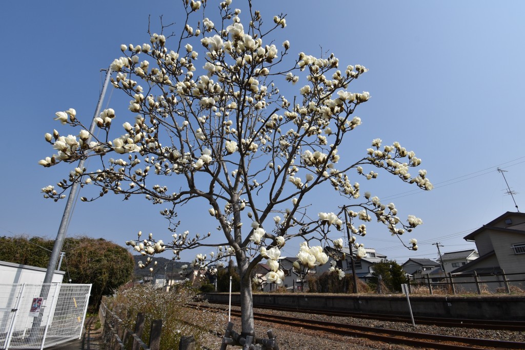 2023.03.08知波田駅5