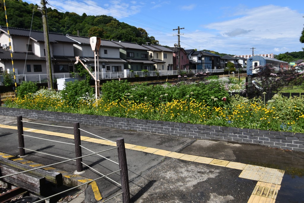 2023.05.15ホーム通路花壇1