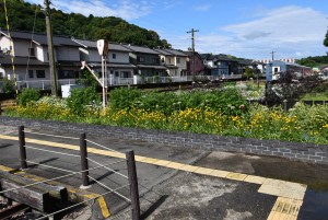 2023.05.15ホーム通路花壇1
