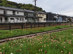 2024.04.12ペレ二アルガーデン1