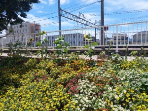 2026.08.19新所原駅4