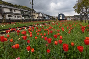 2026.03.030ペレ二アルガーデン1