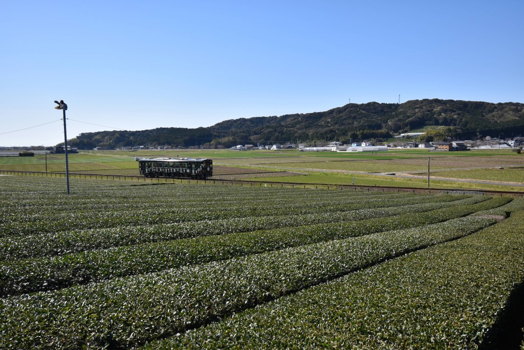 2021.03.23山田地区2