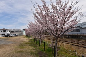 2025.03.18遠州森駅1