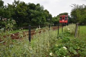 2020.07.20岩水寺駅1