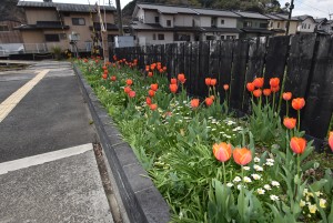 2026.03.24ペレ二アルガーデン9