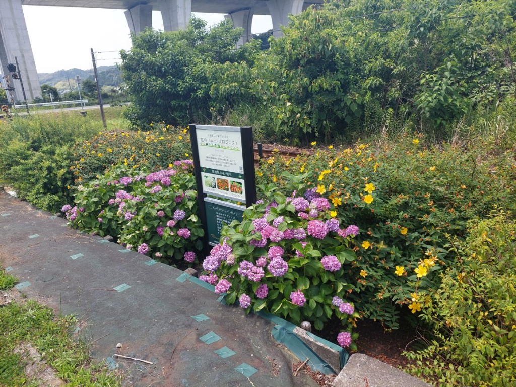 2024.06.14敷地駅2