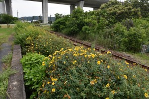 2025.06.13敷地駅2