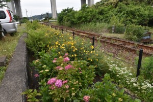 2023.06.05敷地駅1