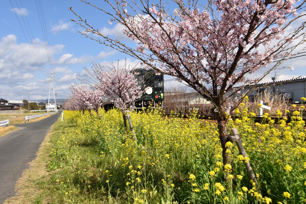 2023.03.14岩水寺駅～宮口駅間4