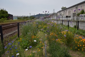 2021.05.14金指駅3