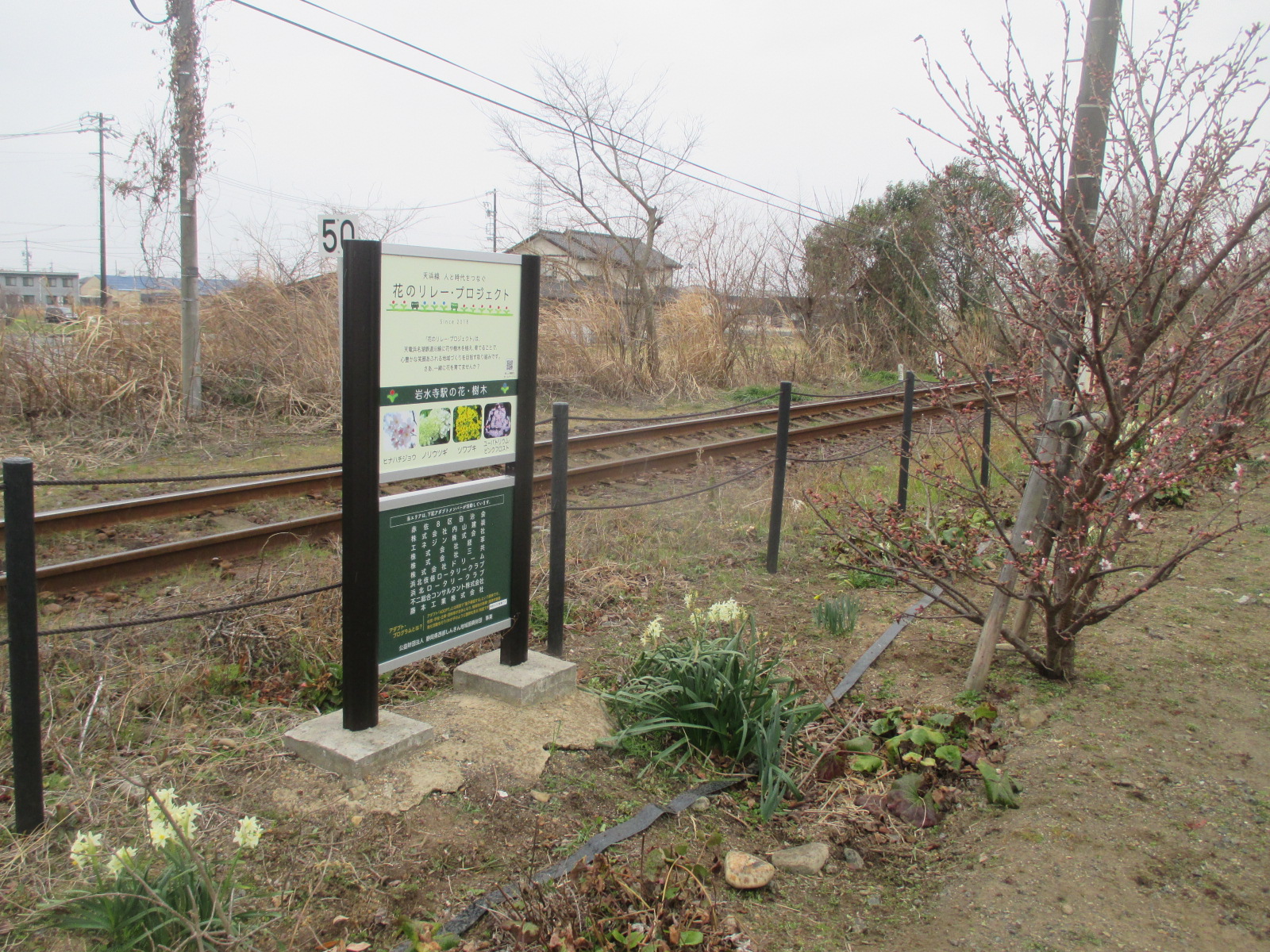 2023.03.05岩水寺駅㈱ドリーム3