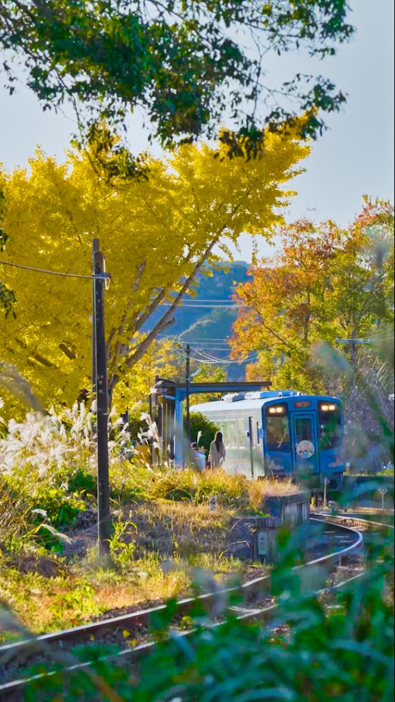 遠江一宮駅2023.11.26