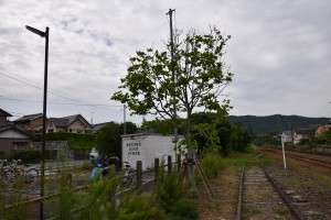 2021.05.25知波田駅2