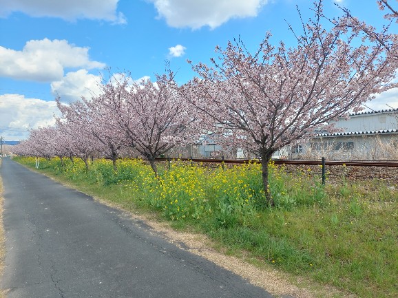 2026.03.10岩水寺駅～宮口駅間7