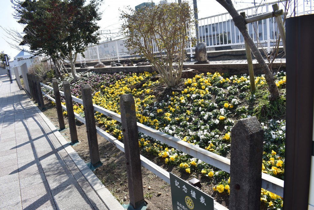 2026.02.13新所原駅2