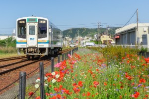 2023.05.03金指駅1