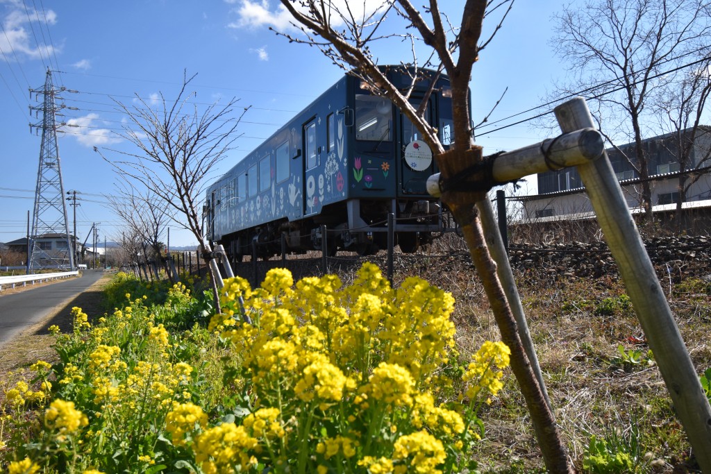 2022.03.03岩水寺駅～宮口駅5