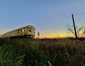 黄光は線をなぞって