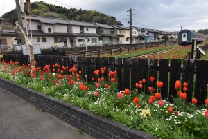 2026.03.30ホーム通路2