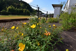 2022.05.30敷地駅1