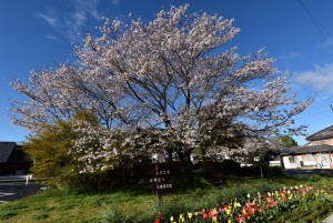 2026.04.02g天竜二俣駅前1