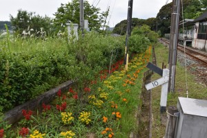 2025.06.13フルーツパーク駅1