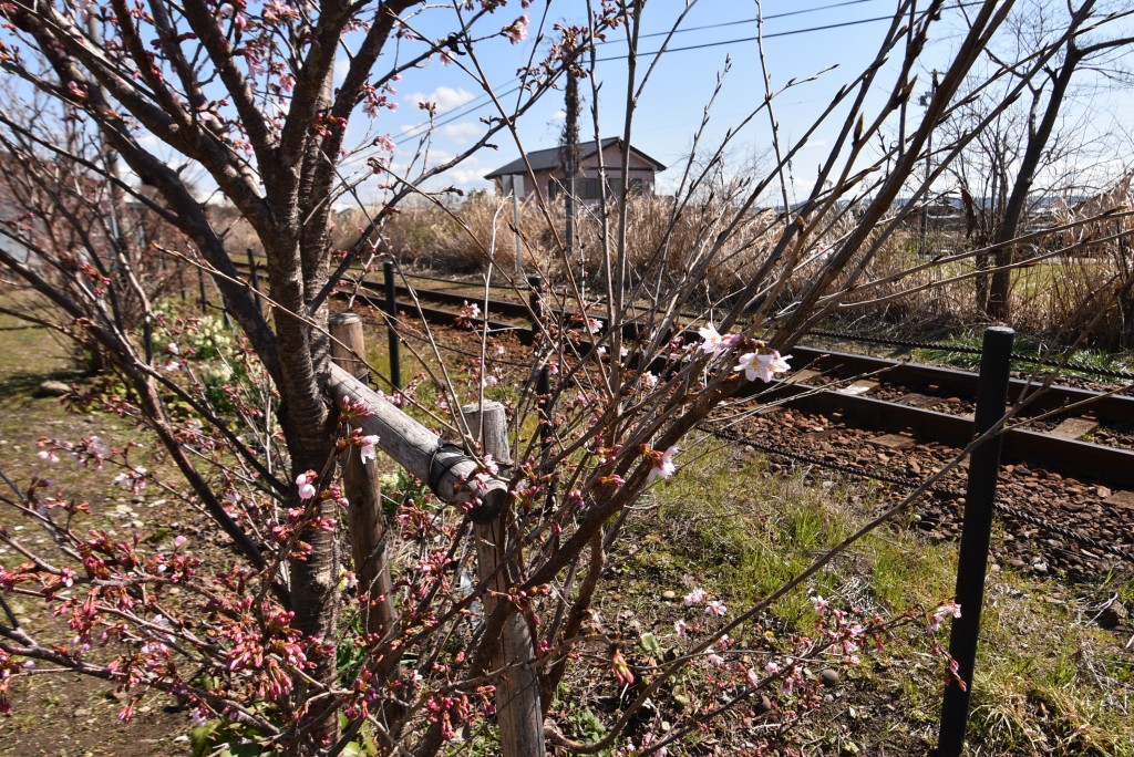 2023.03.06岩水寺駅2