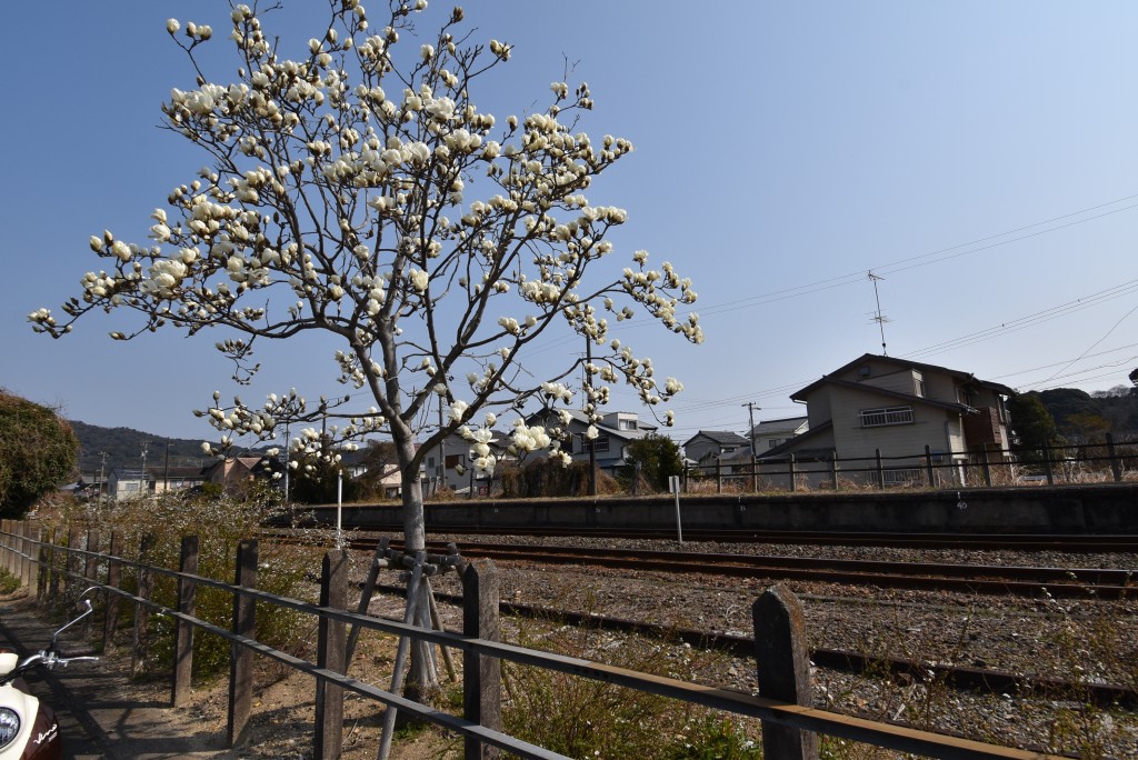 2023.03.08知波田駅3