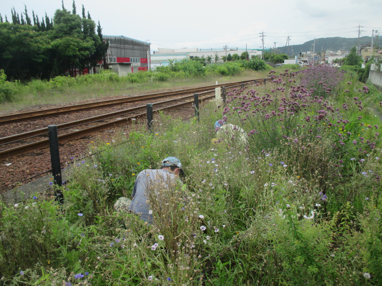 2021.06.26セイブ自動車学校 金指駅2