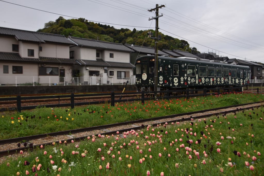 2024.04.12ペレ二アルガーデンと列車1